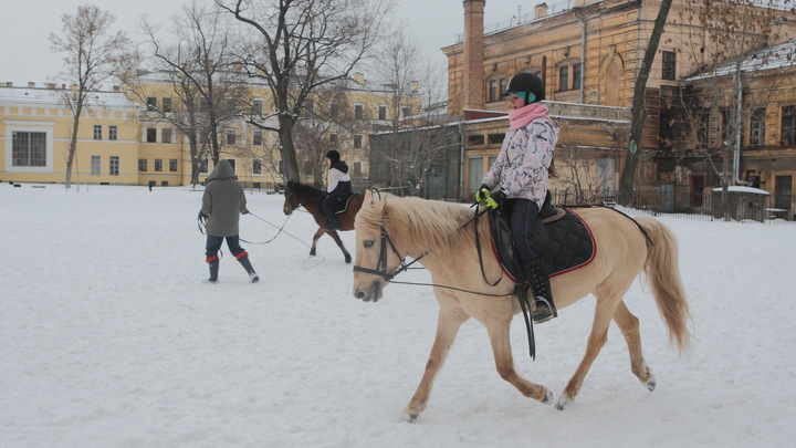 Лошадь ничего не делает назло. Эксперт рассказала о правилах безопасности на конной прогулке