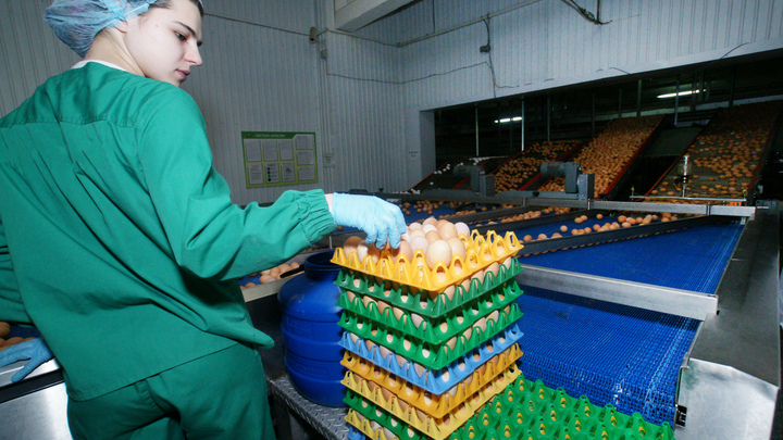 Неуд по азам экономики. Просчёт Набиуллиной объяснил аналитик Беляев