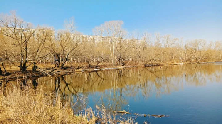 Радоница подскажет: по погоде видно, каким будет лето и урожай
