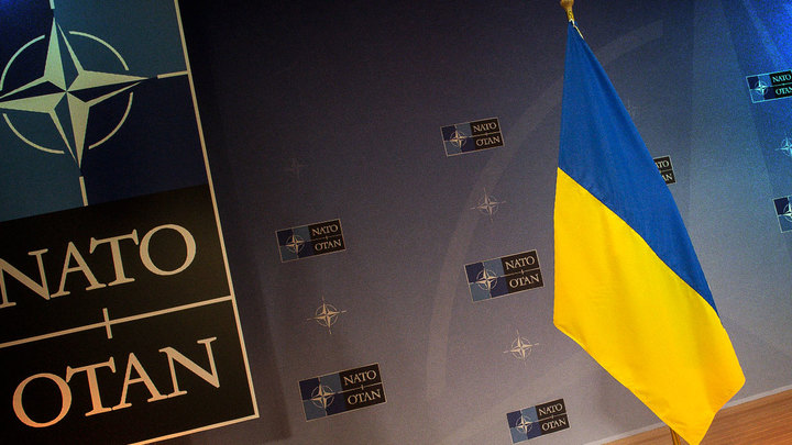 НАТО подминает Украину