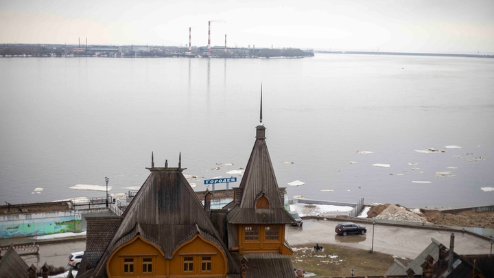 В Городце хотят установить 15-метрового коня