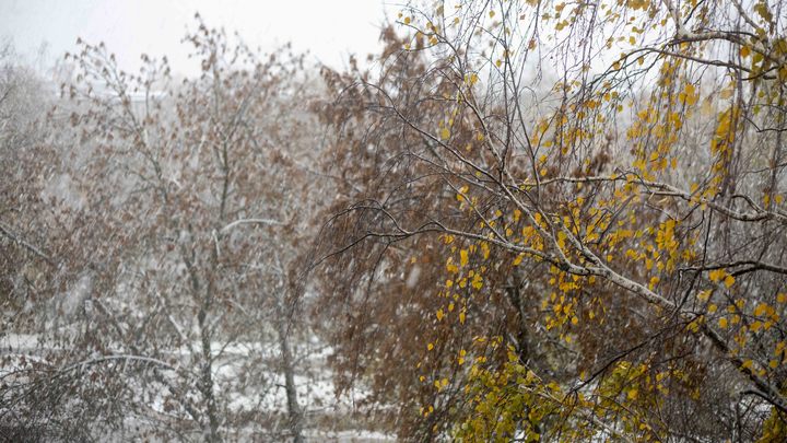 Нижегородскую область накроет метель 27 октября