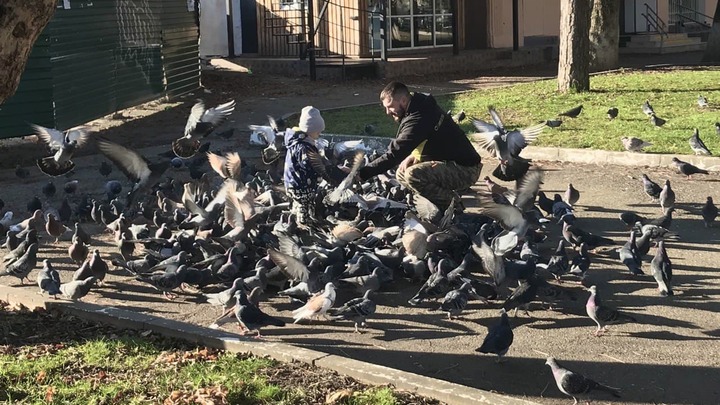 В бюджете Кубани появился 1 млрд на бесплатные путёвки для детей в лагеря и санатории: Как получить?