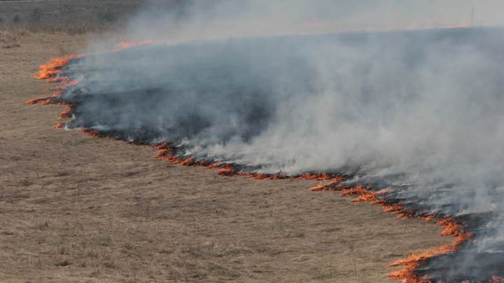 ВСУ вновь подожгли пшеничные поля Запорожской области