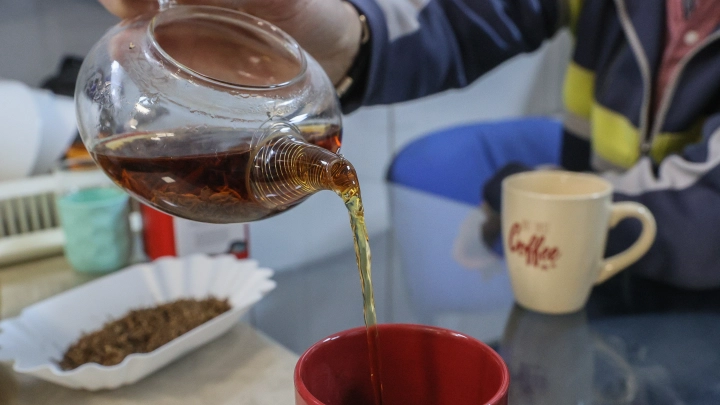 Заготовка, без которой зимой не обойтись: Обрывайте листья - и в чай