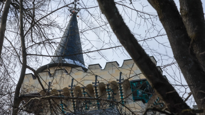 Худеющий кошелек Галкиных: брат комика-иноагента оскорбился из-за статьи Life