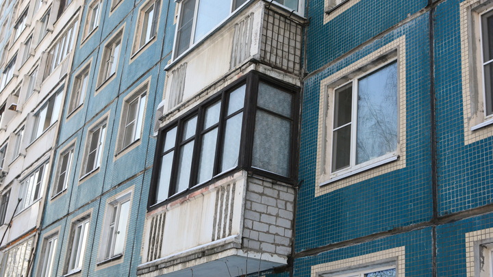 Уральцы ужаснулись поведению хозяев, чья собака выпала с 7-го этажа