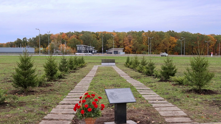В Самаре прошла высадка деревьев на Аллее Ангелов и стадиона “Солидарность Арена”