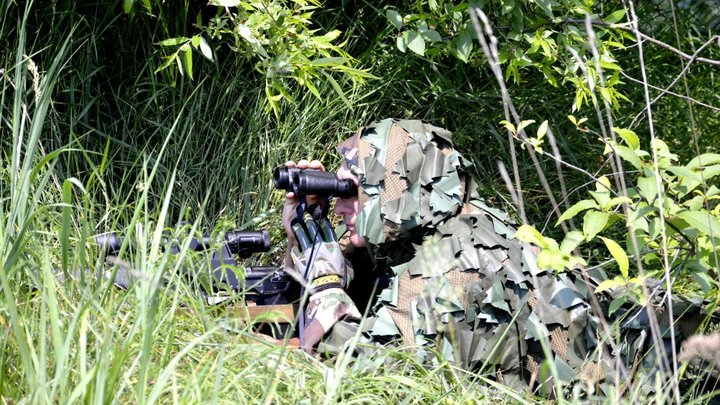 Богомаз: Украина забросила в Брянскую область 20 диверсантов