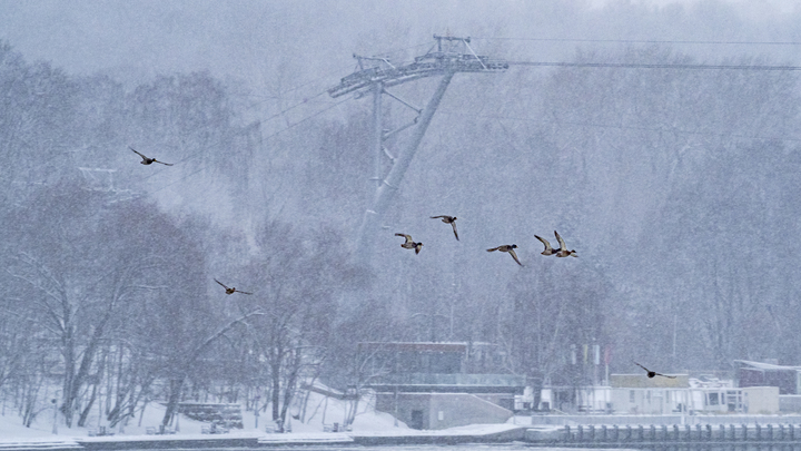 На Кубани объявлено экстренное предупреждение из-за налипания снега