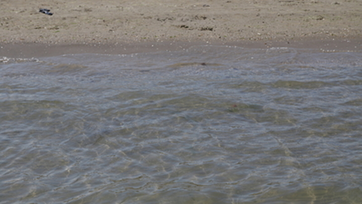 Под Балахной в Волге утонул молодой мужчина