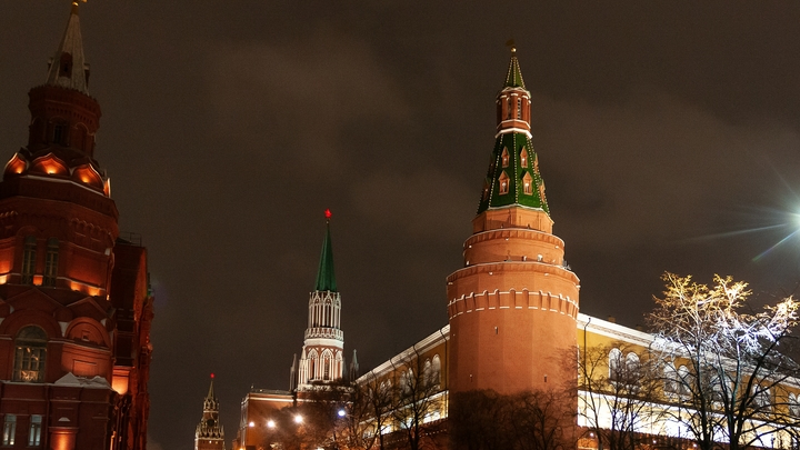 Американка задержана за выгул телёнка на Красной площади