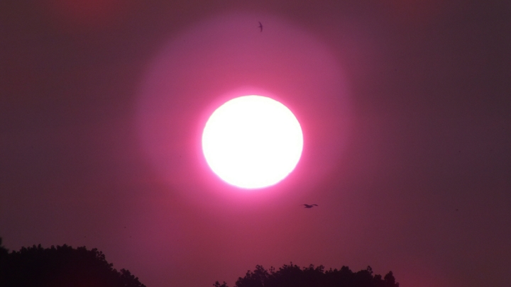 Ждать ли интернет-апокалипсиса? Daily Star предупреждает о мощной солнечной буре