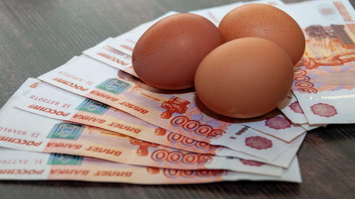 Патрушев раскрыл, когда упадут цены на яйца