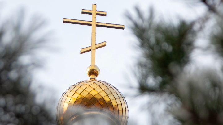 Покушение на митрополита Тихона: Странности начались уже на первом допросе. Взлом Telegram, лопата и пачка сока. Последние новости