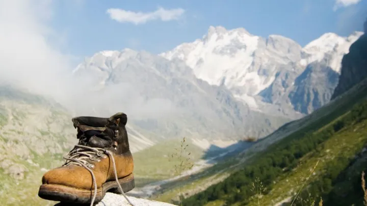 По следам пропавших: депутат объяснил важность временного «окна» в поисках семьи Усольцевых