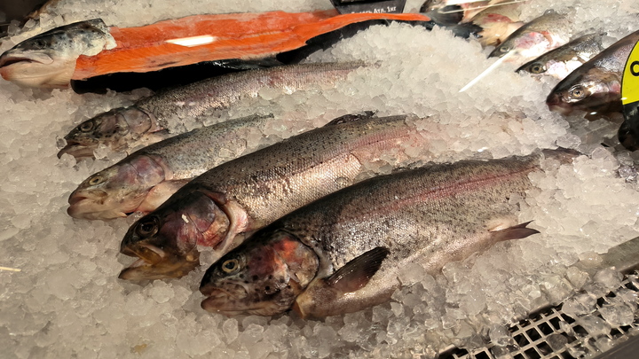 В Краснодарском крае за 2023 год вырастили почти 3 тыс. тонн форели