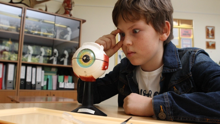 Прошло исследование: что поможет “пробудить” мозг