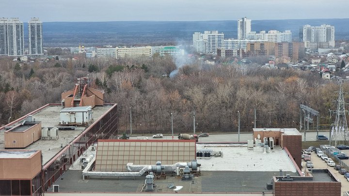 В Ботаническом саду Самары заметили столб дыма В Ботаническом саду Самары заметили столб дыма