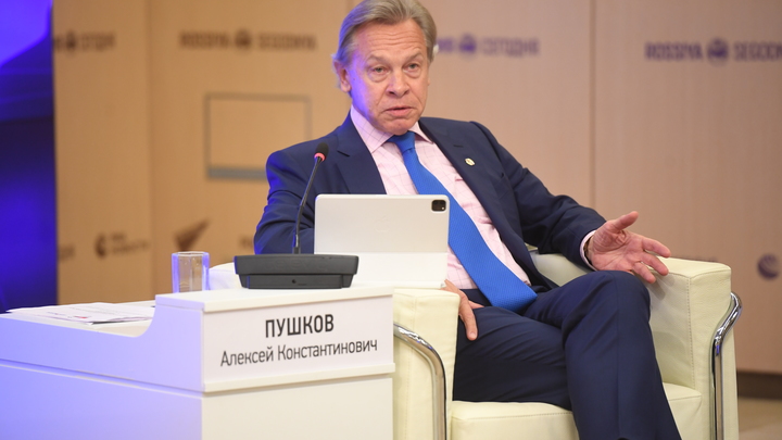 Пушков ответил молдавским политикам: Как бы отучить Кишинёв одновременно просить и требовать?