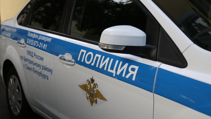 Транспортная полиция Петербурга нарушила планы двух молодых наркоторговцев