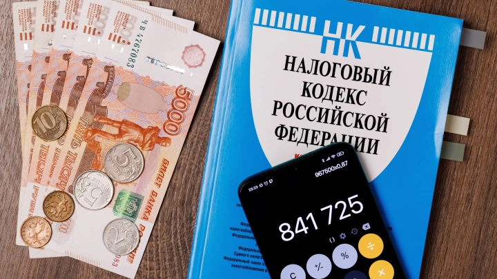 Экономист заявил, что налог для бездельников в России не будет эффективен