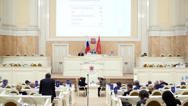 Бюджет Петербурга превысил триллион: почему же депутаты решили сэкономить на детях