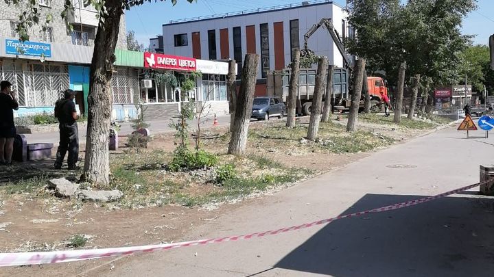 В Новосибирске жители улицы Бориса Богаткова возмущены сносом деревьев под торговые павильоны