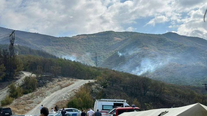 Лесной пожар в Геленджике не повлиял на работу отелей