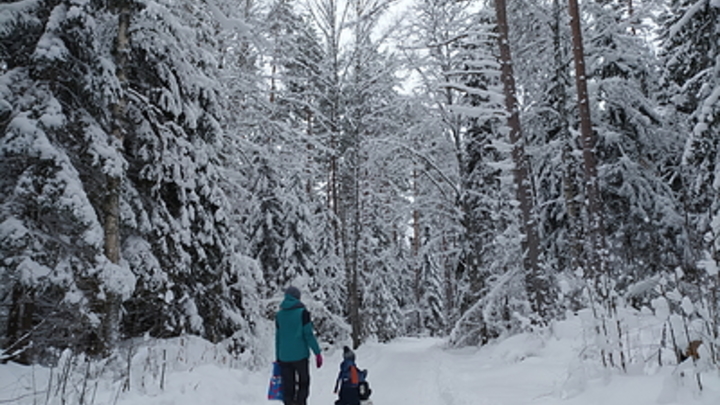 Отдел опеки Томской области пытался изъять ребёнка у матери-одиночки, требовавшей пособия