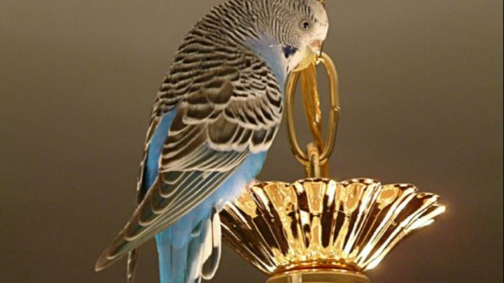 Отключения света в Сочи 22 сентября: кто останется без электричества