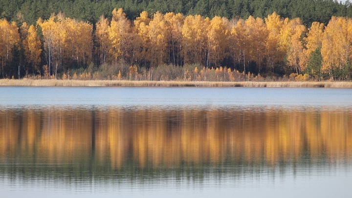 Погода в Ростове на 15 ноября 2021 года: в городе продолжает утром господствовать плотный туман