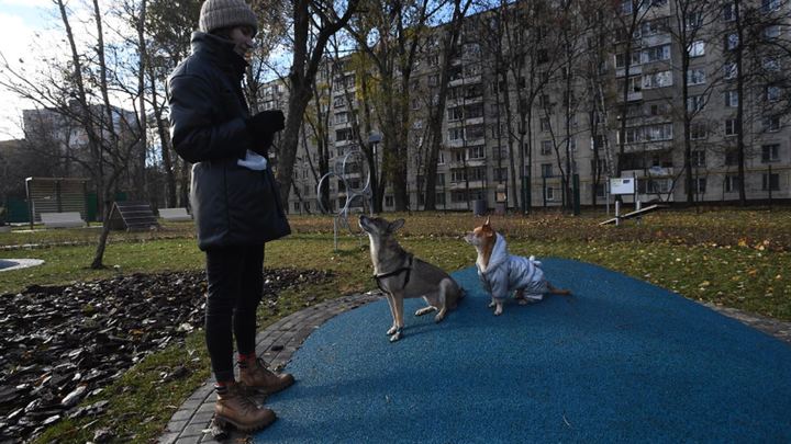 Кубань отправила на Донбасс три тонны корма для животных