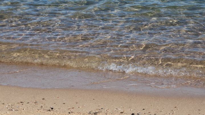 В Сочи к высокому сезону откроют четыре новых пляжа