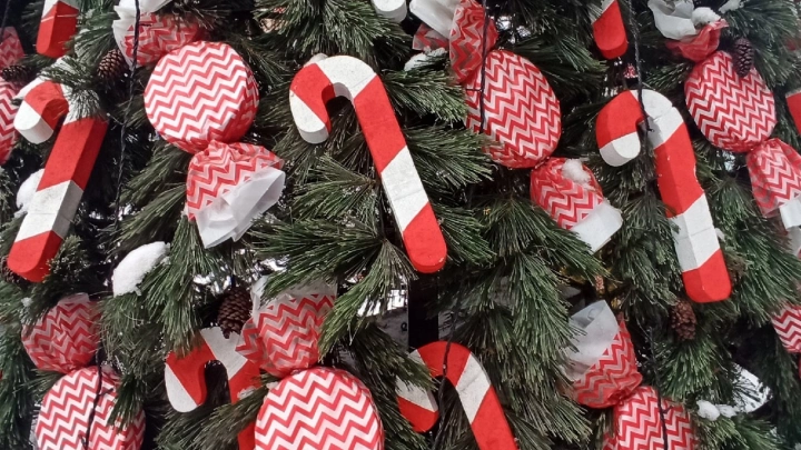 Онищенко: новогодние каникулы в России слишком длинные