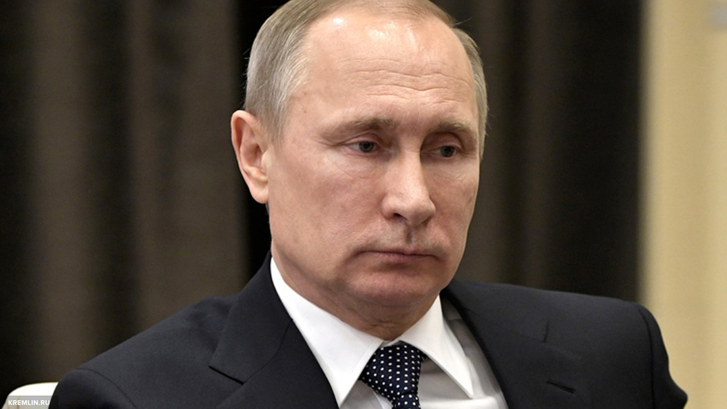 Глава ФНС отчитался перед Путиным мультиком и регистрацией Facebook Глава ФНС отчитался перед Путиным мультиком и регистрацией Facebook