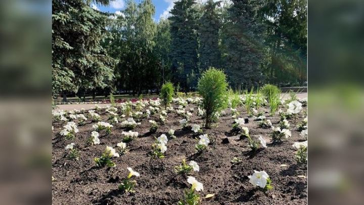 Мэр Челябинска рассказала, почему стало меньше цветов на клумбах