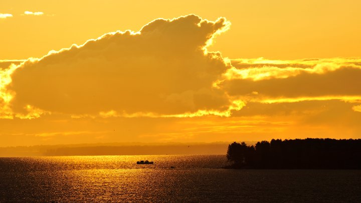На пляже Обского моря в Бердске поселился Робинзон