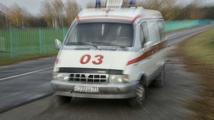 Услышал всхлипы: Дворник рассказал, где на самом деле нашёл выпавшую из окна модель Пунтус