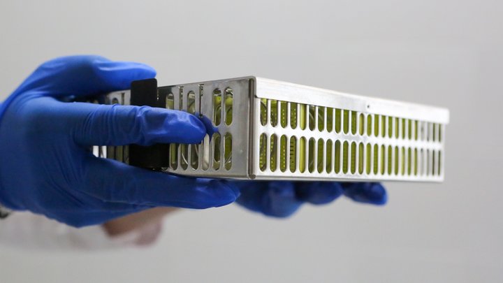 Путин готовит войну: Масштабное строительство госпиталей российский оппозиционер объяснил по-своему