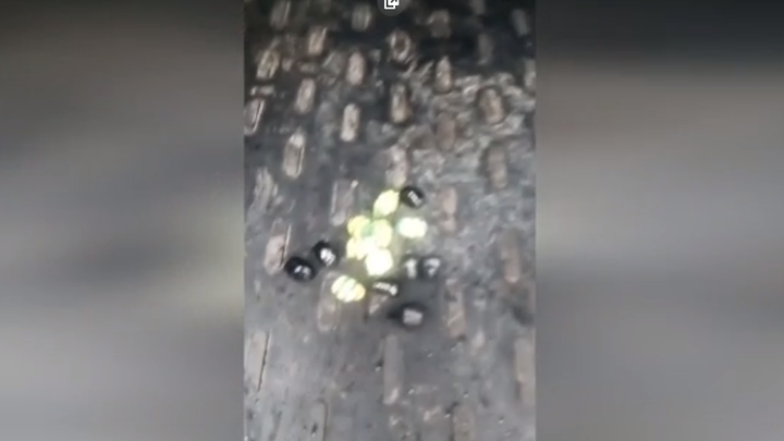В Нижнем Новгороде поймали героинового закладчика
