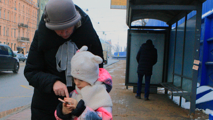 Во Владимирской области в 2023 году умрут 20 103 человека