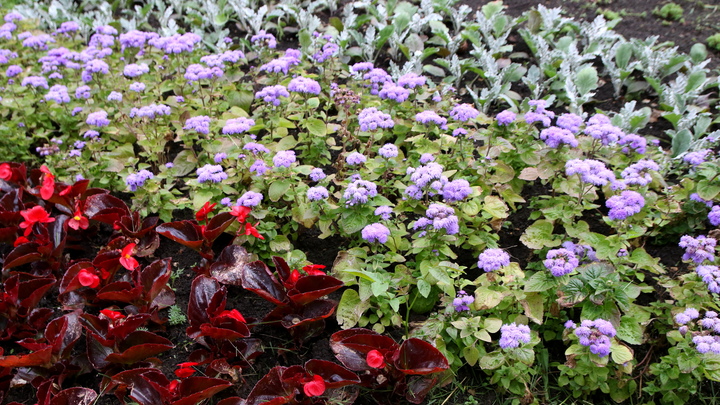 Современную зону отдыха построят в Камышлинском районе Самарской области