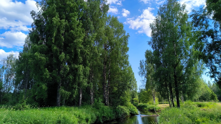 В Перми утонул мужчина, купаясь в реке Мулянка