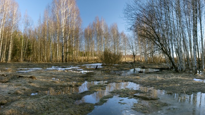 В Челябинской области потеплеет до +1, но ненадолго