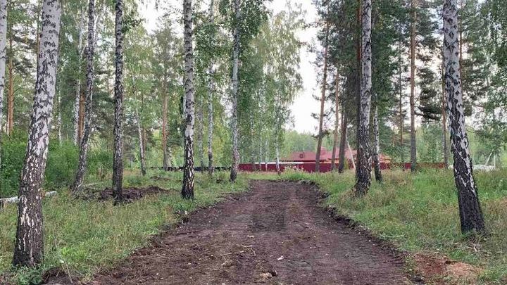 В Челябинске ради дороги к коттеджам уничтожили березы и лыжную трассу