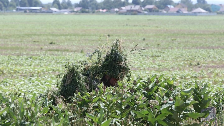 Пленный раскрыл правду: Военными ВСУ руководят американцы и поляки