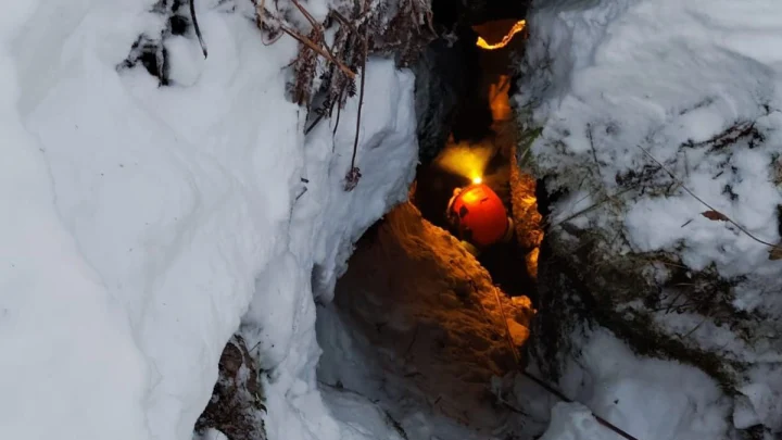 Сын Усольцевой прокомментировал новые поиски семьи, пропавшей в Красноярском крае