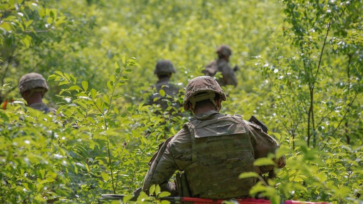 Американский офицер обнулил мифы об успехах Киева: Правду больше скрывать нельзя