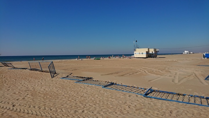 Массовой гибелью птиц и морских обитателей на Кубани занялась Судебно-экспертная палата